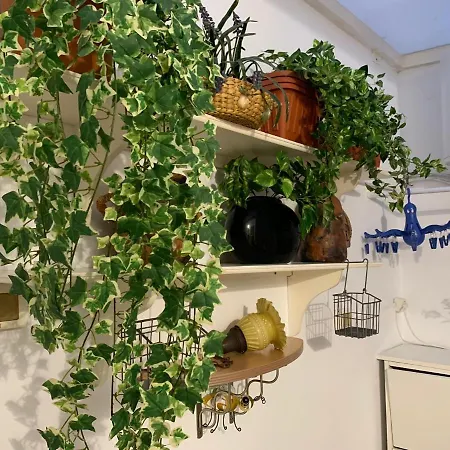 Apartamento Dream Central Plaza