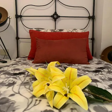 Apartamento Dream Central Plaza