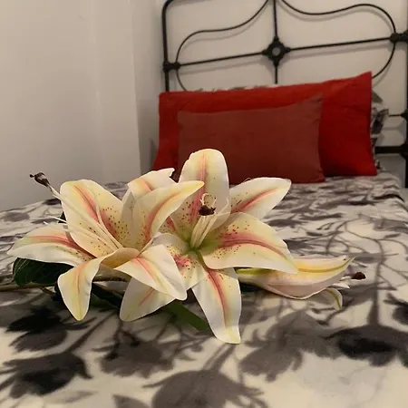 Dream Central Plaza Apartamento